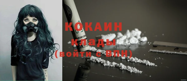 винт Пересвет
