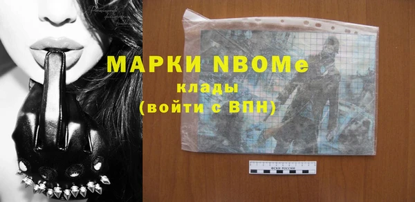 винт Пересвет