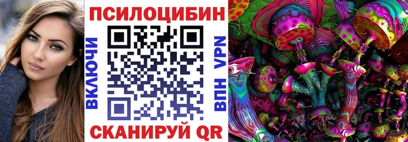 где найти   Спасск-Дальний  Галлюциногенные грибы GOLDEN TEACHER 